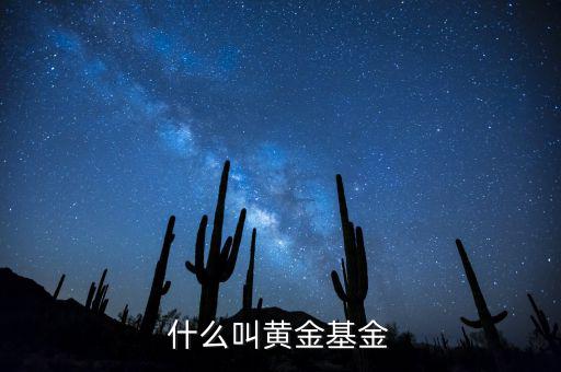 基金類型黃金型是什么意思，基金類型是黃金型所謂的黃金型是什么意思