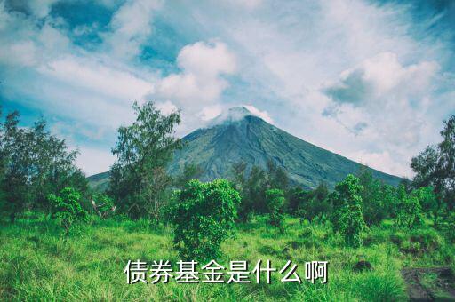 什么叫信用債券基金，信用債是什么樣的基金在什么市場(chǎng)情況下收益率最大