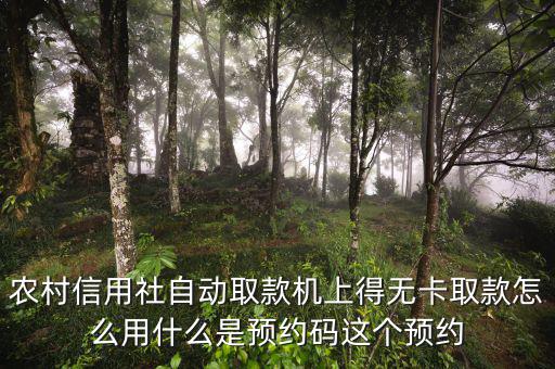 農(nóng)行預(yù)約碼是什么，農(nóng)商銀行預(yù)約取款預(yù)約碼是什么