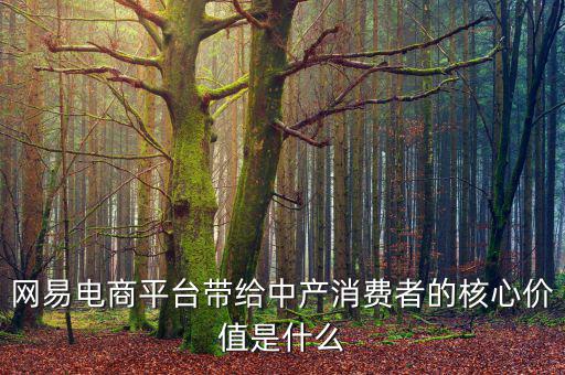 網(wǎng)易電商平臺帶給中產(chǎn)消費(fèi)者的核心價值是什么