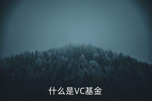 vc基金是什么，什么叫VC基金
