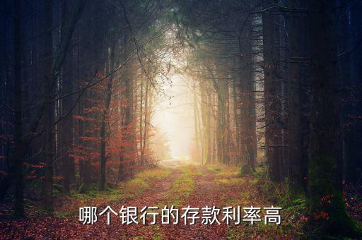 錢存什么銀行利息高，哪個(gè)銀行的存款利率高