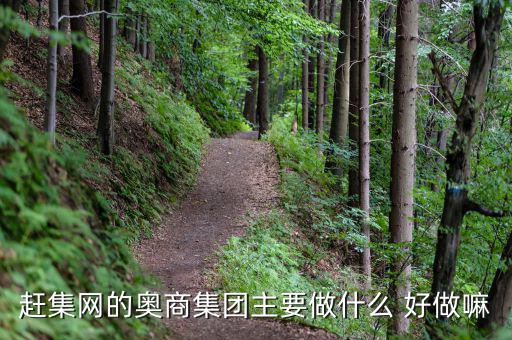 奧骨集團(tuán)是做什么的，趕集網(wǎng)的奧商集團(tuán)主要做什么 好做嘛