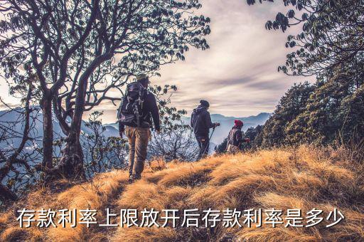 存款上限放開(kāi)什么時(shí)候，各大商業(yè)銀行放開(kāi)存款上限有什么政策