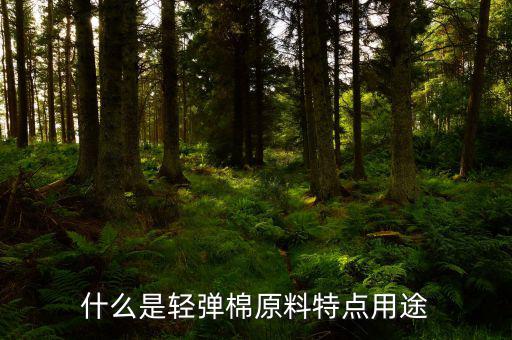 清彈棉是什么意思，彈棉花是什么意思
