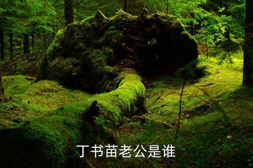 丁書苗和劉志軍什么關系，丁羽心和劉志軍認識10年 花多少錢都不吝嗇