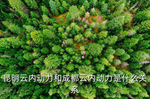 云南云內(nèi)動(dòng)力是什么性質(zhì)，什么是云內(nèi)發(fā)動(dòng)機(jī)
