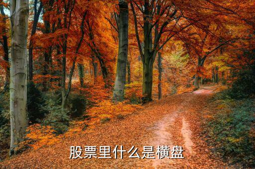 橫盤調(diào)整什么意思，股民們說的建倉橫盤是什么意思
