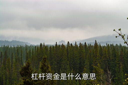 資金杠桿是什么意思，投資里面的杠桿是什么意思