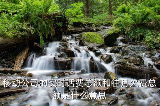 移動(dòng)賬單總額什么意思，移動(dòng)公司的帳單總額與實(shí)時(shí)話費(fèi)區(qū)別