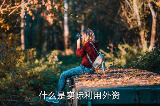什么叫實際使用外資，什么是實際利用外資