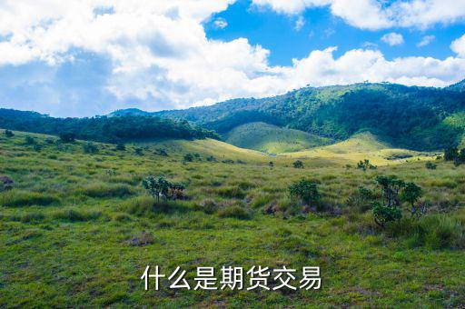 什么叫期貨交易，什么是期貨交易