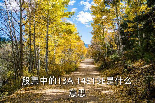 市盈率13a什么意思，財務(wù)報表中13A 14E 是什么意思