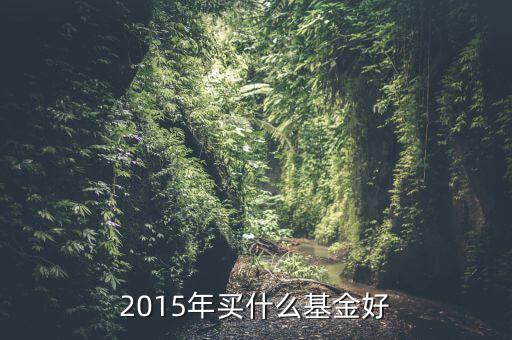 2015年5月買(mǎi)什么基金好，2015年五一勞動(dòng)節(jié)前后過(guò)后買(mǎi)什么基金好