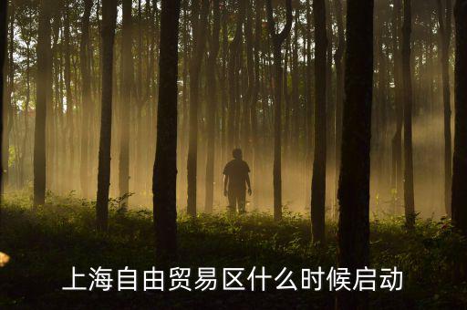 上海自貿(mào)區(qū)什么時(shí)候開(kāi)放，上海自由貿(mào)易區(qū)什么時(shí)候啟動(dòng)