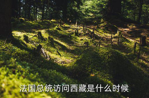 默克爾什么時間訪華，法國總統(tǒng)訪問西藏是什么時候