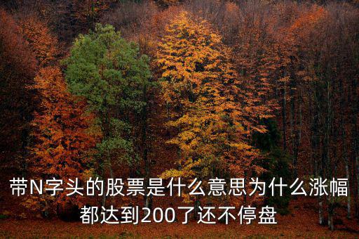 n派思是什么股票，帶N字頭的股票是什么意思為什么漲幅都達(dá)到200了還不停盤