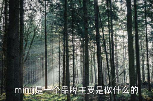 曹山石是干什么的，minij是一個(gè)品牌主要是做什么的