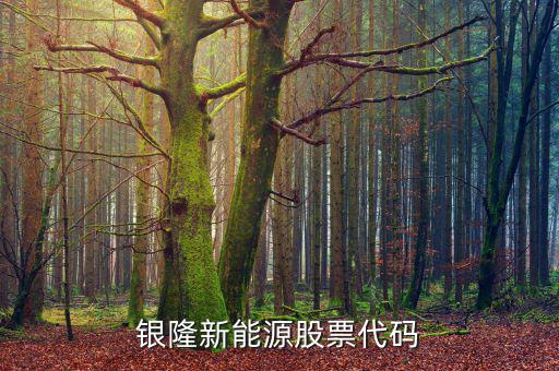 銀龍股份什么時候上市，銀隆新能源股票代碼