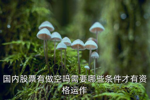 什么股票才可以做空，同花順里面有沒(méi)有可以做空的股票