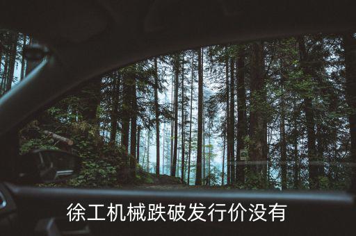 徐工機(jī)械什么時候復(fù)權(quán)，徐工機(jī)械何時復(fù)牌