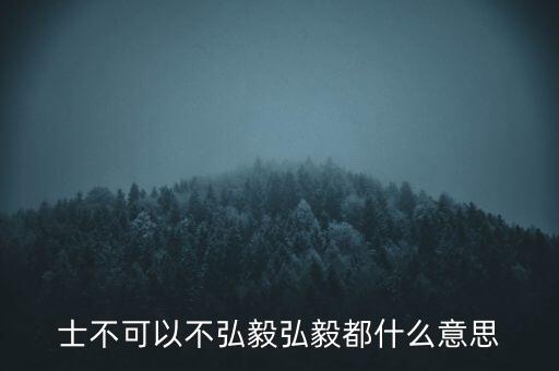 市布可以不弘毅什么意思，曾子曰士不可以不弘毅 什么意思