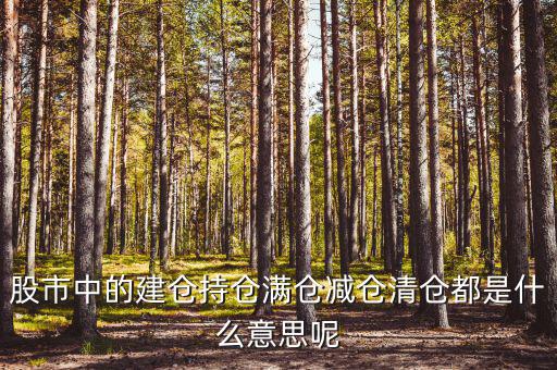 為什么減倉，減倉是什么意思什么是減倉