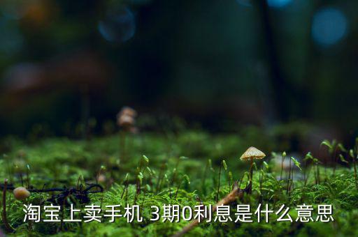 三零分期什么意思，淘寶上賣手機(jī) 3期0利息是什么意思