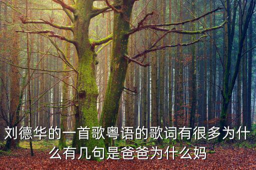 法為什么對(duì)is空襲，劉德華的一首歌粵語(yǔ)的歌詞有很多為什么有幾句是爸爸為什么媽