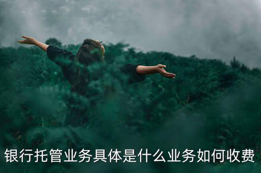 什么是票據(jù)托管，銀行托管業(yè)務(wù)具體是什么業(yè)務(wù)如何收費(fèi)