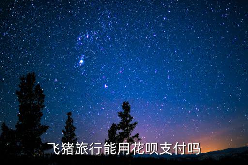 阿里巴巴abs什么時候推出的，交易貓可以用螞蟻花唄支付嗎