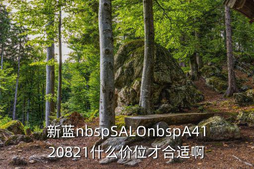 久遠(yuǎn)銀海什么價(jià)位才賣，新藍(lán)nbspSALOnbspA4120821什么價(jià)位才合適啊