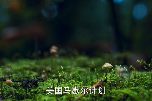 馬歇爾計(jì)劃內(nèi)容和實(shí)質(zhì)是什么，馬歇爾計(jì)劃
