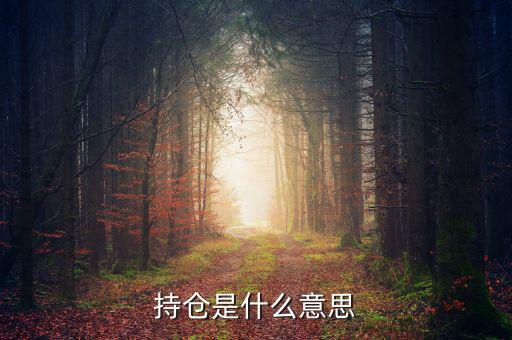 什么是買(mǎi)持倉(cāng)，持倉(cāng)是什么意思