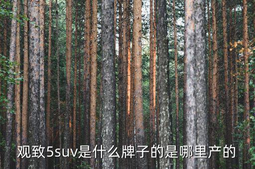 觀致5suv是什么牌子的是哪里產(chǎn)的