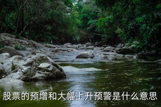 預(yù)虧期是什么意思，股票的預(yù)增和大幅上升預(yù)警是什么意思