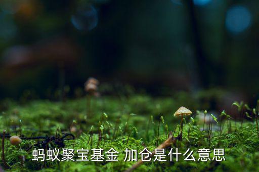 螞蟻聚寶基金 加倉(cāng)是什么意思