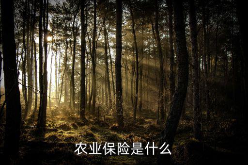 傳統(tǒng)農(nóng)業(yè)保險(xiǎn)主要保什么風(fēng)險(xiǎn)，農(nóng)業(yè)保險(xiǎn)是什么