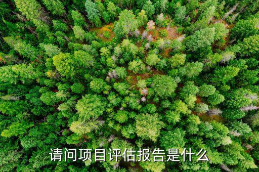 請(qǐng)問(wèn)項(xiàng)目評(píng)估報(bào)告是什么