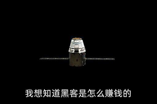 我想知道黑客是怎么賺錢的