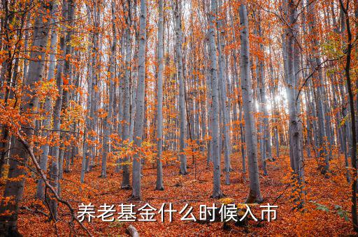 養(yǎng)老基金什么時(shí)候入市