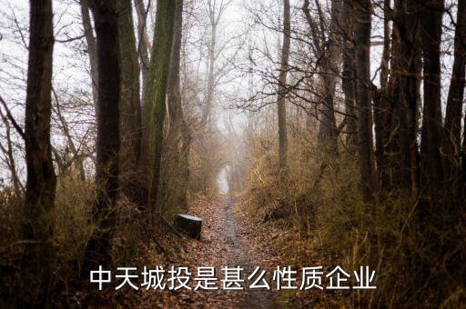 中天城投是什么概念，中天城投在這么些年的發(fā)展中涉及了哪些行業(yè)