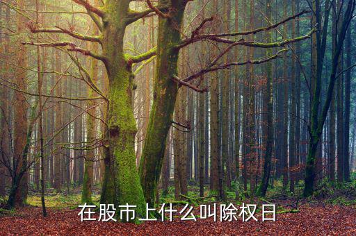 什么叫股票除權(quán)日，什么是股票除權(quán)息的登記日