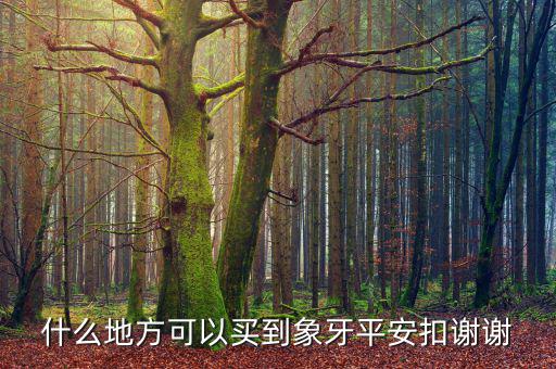 在日本什么地方買象牙制品，什么地方有批發(fā)象牙飾品的
