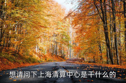 上海清算所做什么，想請問下上海清算中心是干什么的