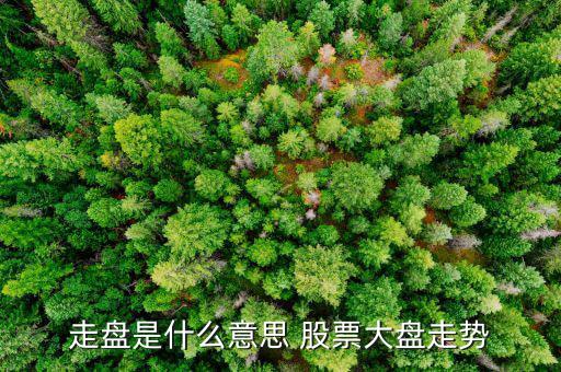 什么是大盤走勢(shì)，問大家一下大盤指的是什么