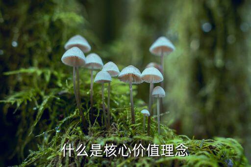 什么是核心價(jià)值理念，什么是核心價(jià)值理念