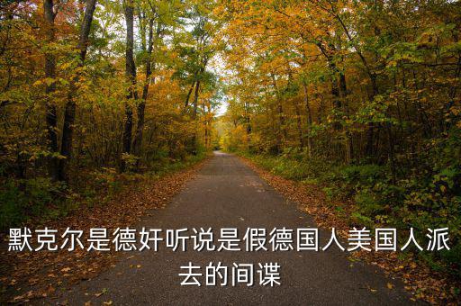 默克爾賭什么，默克爾是德奸聽說是假德國人美國人派去的間諜