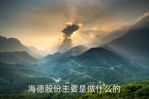德力股份是干什么的，德國力斯集團(tuán)以前主要是做什么的啊