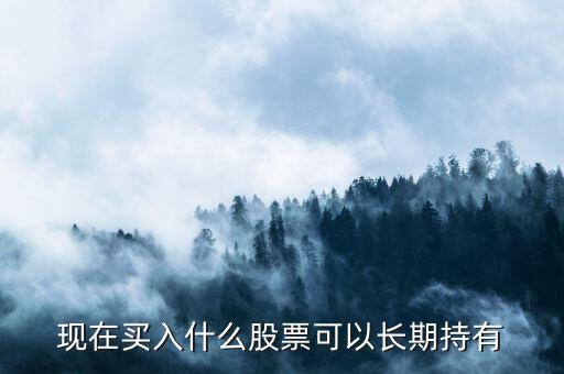長期投資買什么股票，什么股票有長期投資價(jià)值